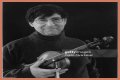 David Shapiro (musician)